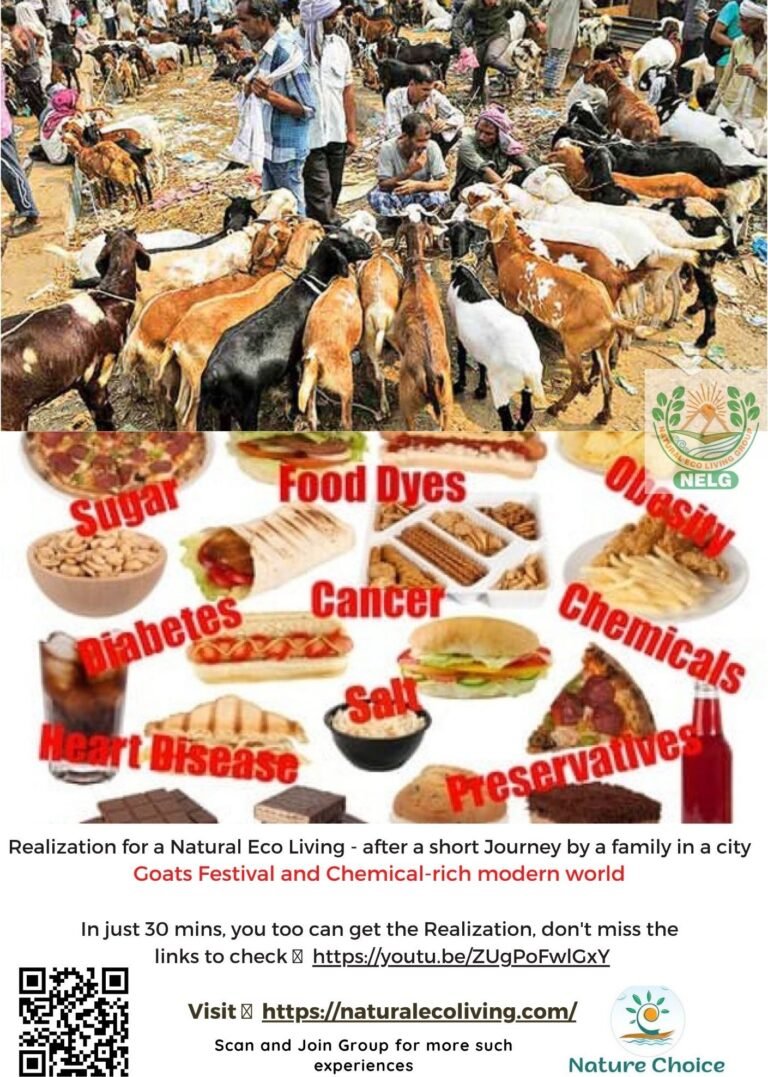 Realization for a Natural Eco Living - Goats festival and Chemical-rich modern world