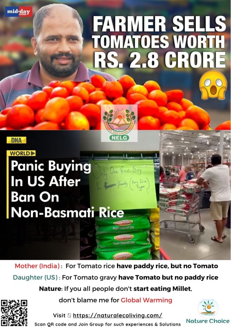 NRI buys paddy rice in panic as India bans export